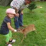 Δωμάτια σε οικογενειακή κατοικία Agromurena *
