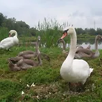 Agromurena Δωμάτια σε οικογενειακή κατοικία