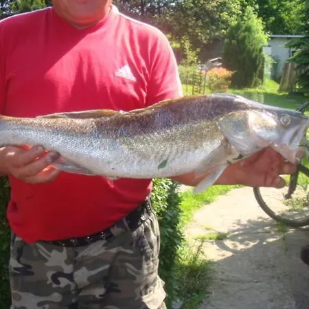 Agromurena Privatunterkunft