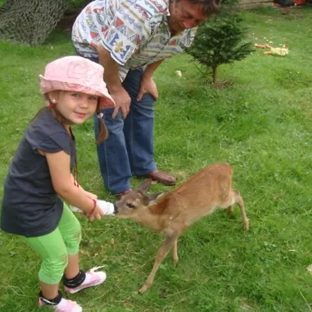 Privatunterkunft Agromurena *