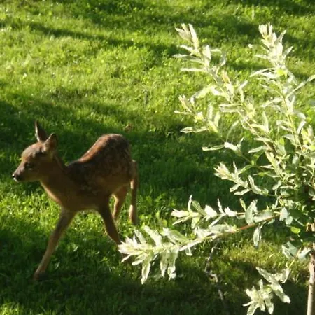 Agromurena Privatunterkunft *