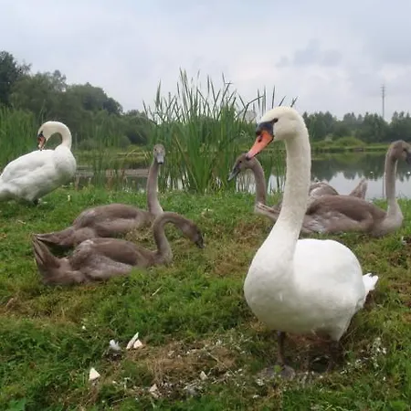 Agromurena Privatunterkunft