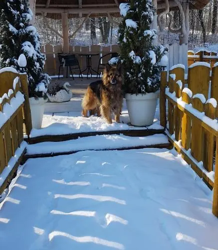 Homestay Agromurena Gryfow Slaski