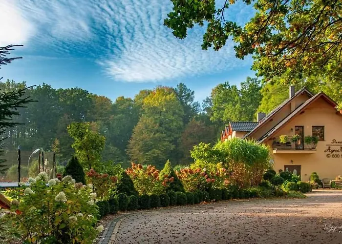 Homestay Agromurena Gryfow Slaski