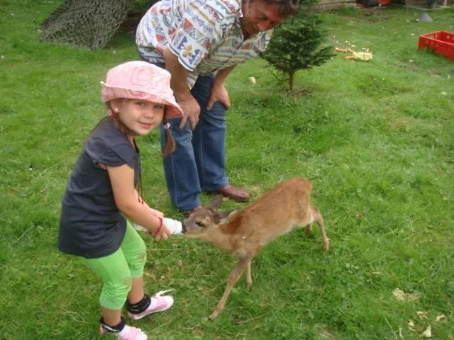 Проживание в семье Agromurena *