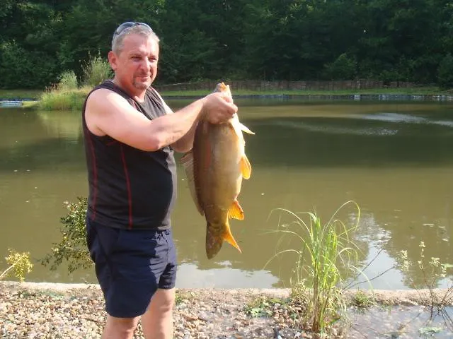 Agromurena Проживание в семье