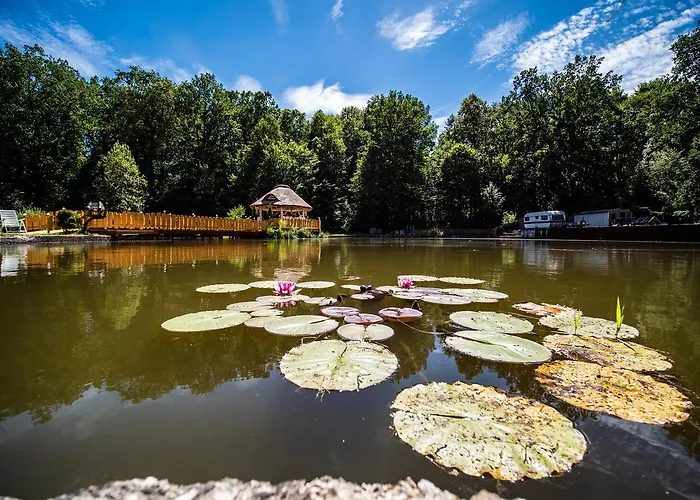 Homestay Agromurena *