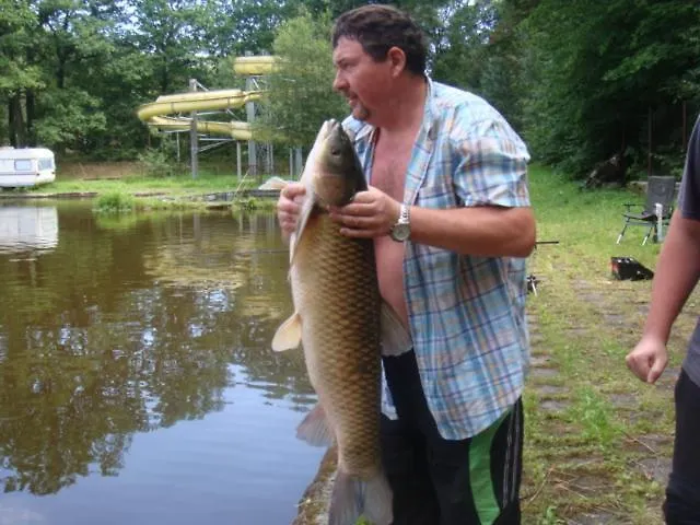 Agromurena Homestay Gryfow Slaski